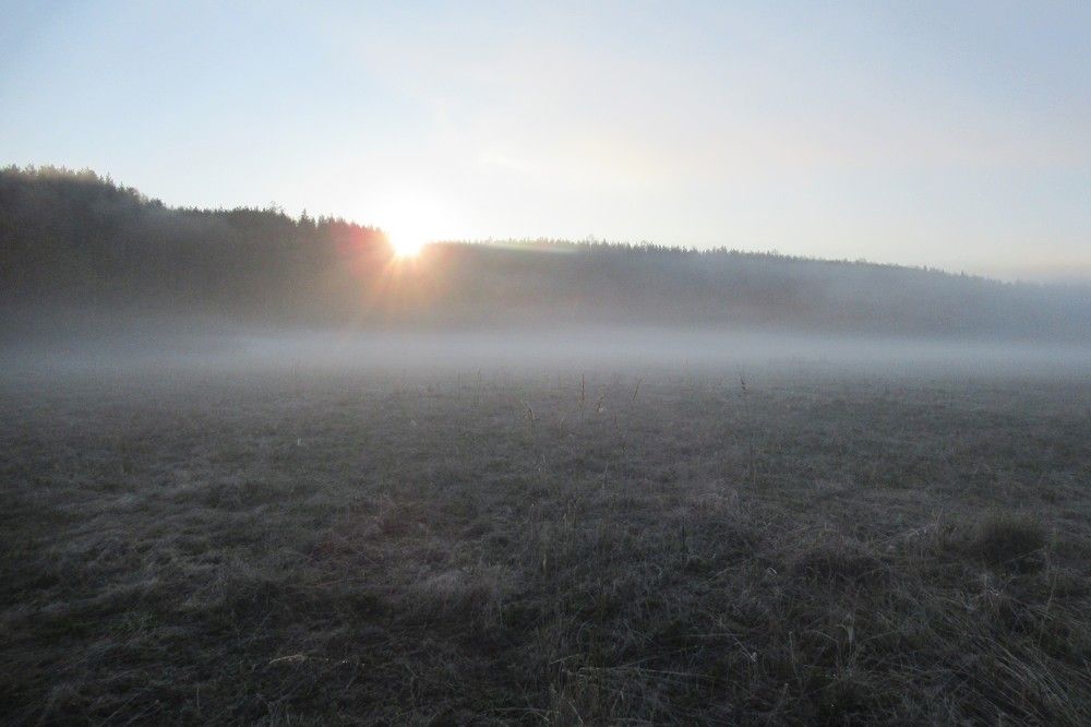 Photograph by Ольга Березовская