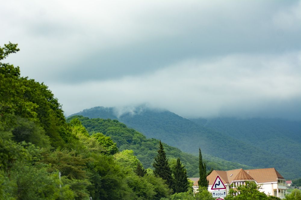 Photograph by Galina