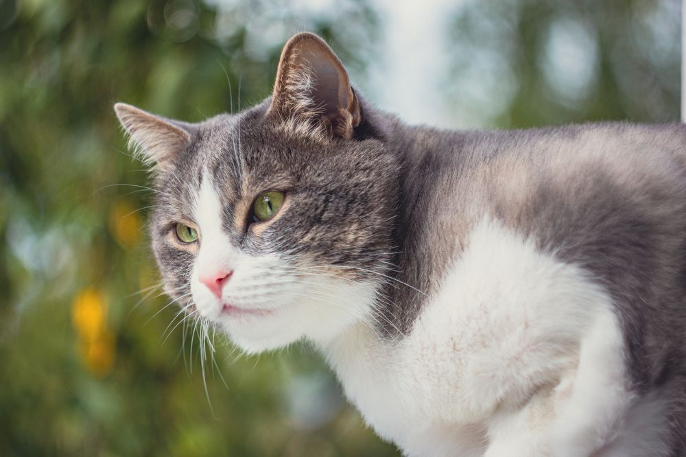 Photograph by Дмитрий Степанов