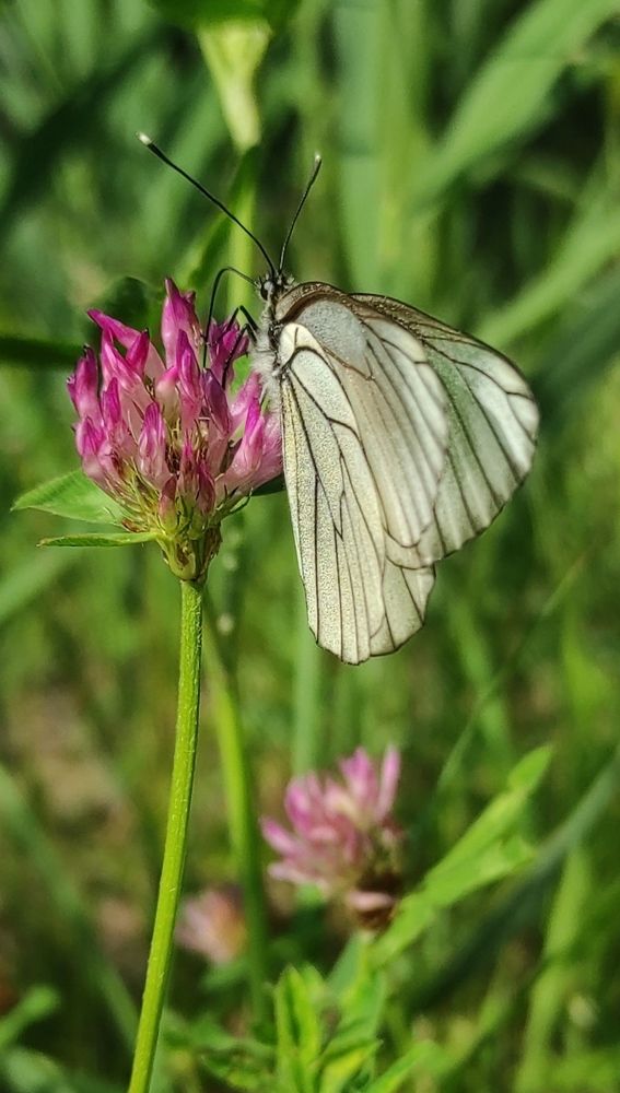 Photograph by Елена Попова