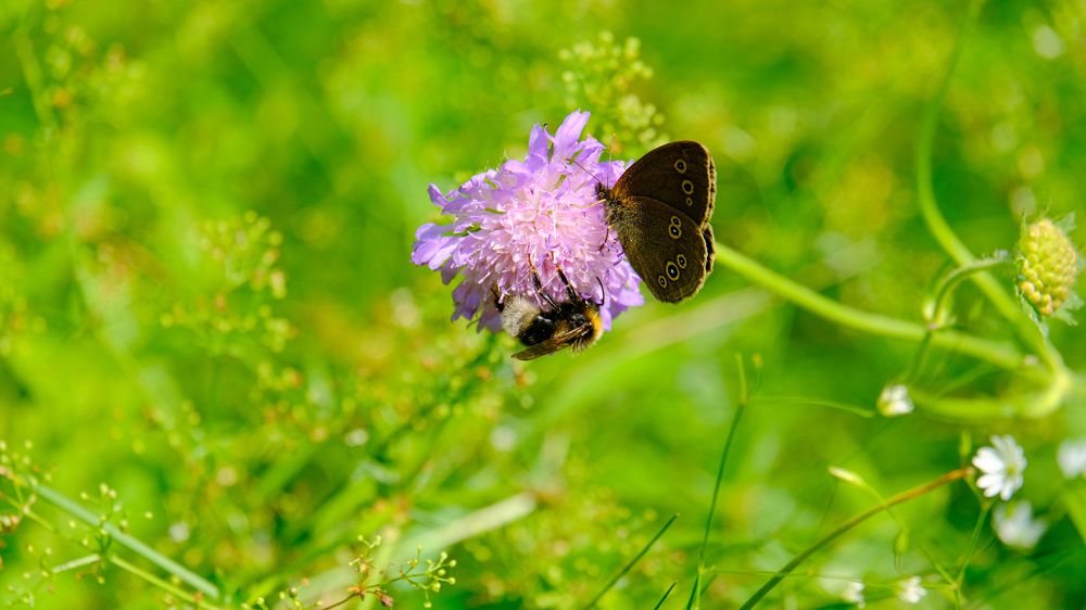 Photograph by Александр Елизаров
