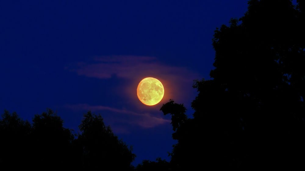 Photograph by Александр Елизаров