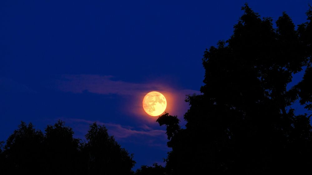 Photograph by Александр Елизаров