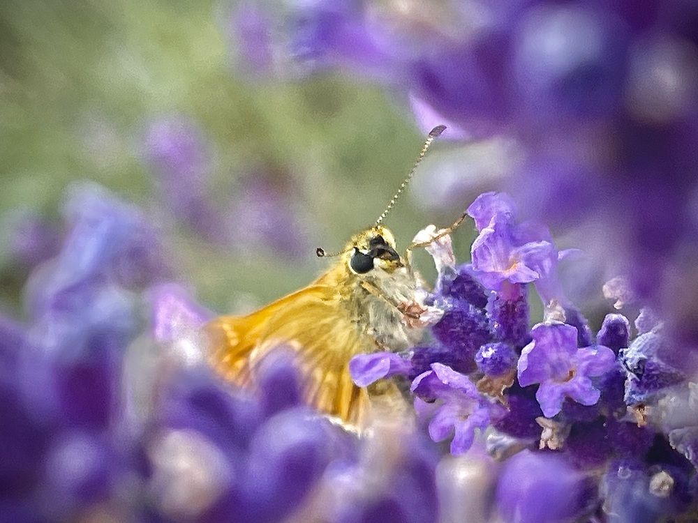 Photograph by Юлия