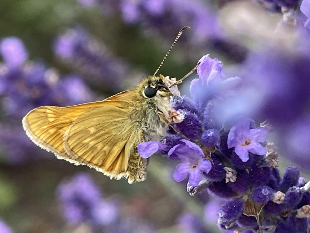 Photograph by Юлия