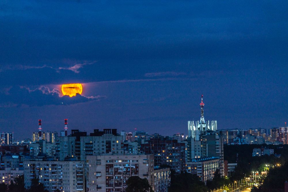 Photograph by Юлия Боровкова