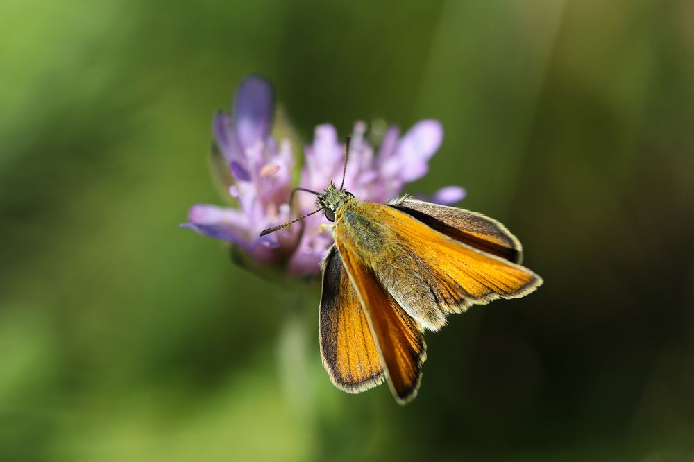 Photograph by Виктория Писаренко