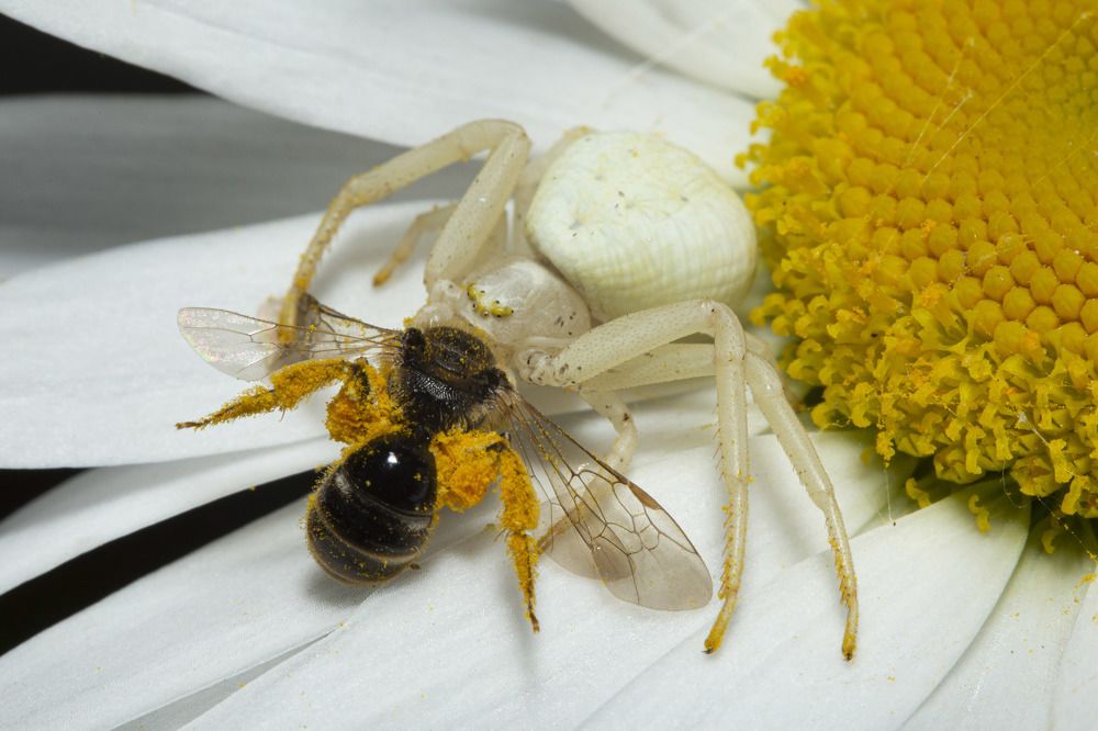 Фотография автора Марина Кулакова