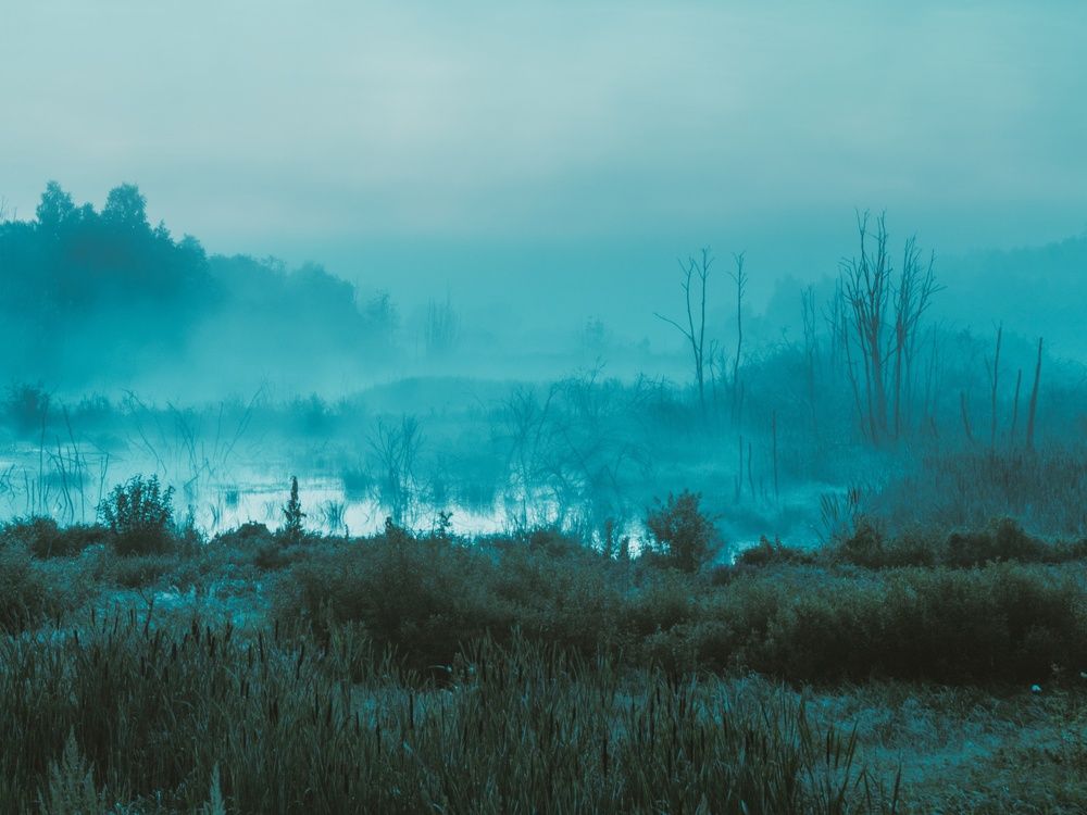 Photograph by Ксюша Черотченко