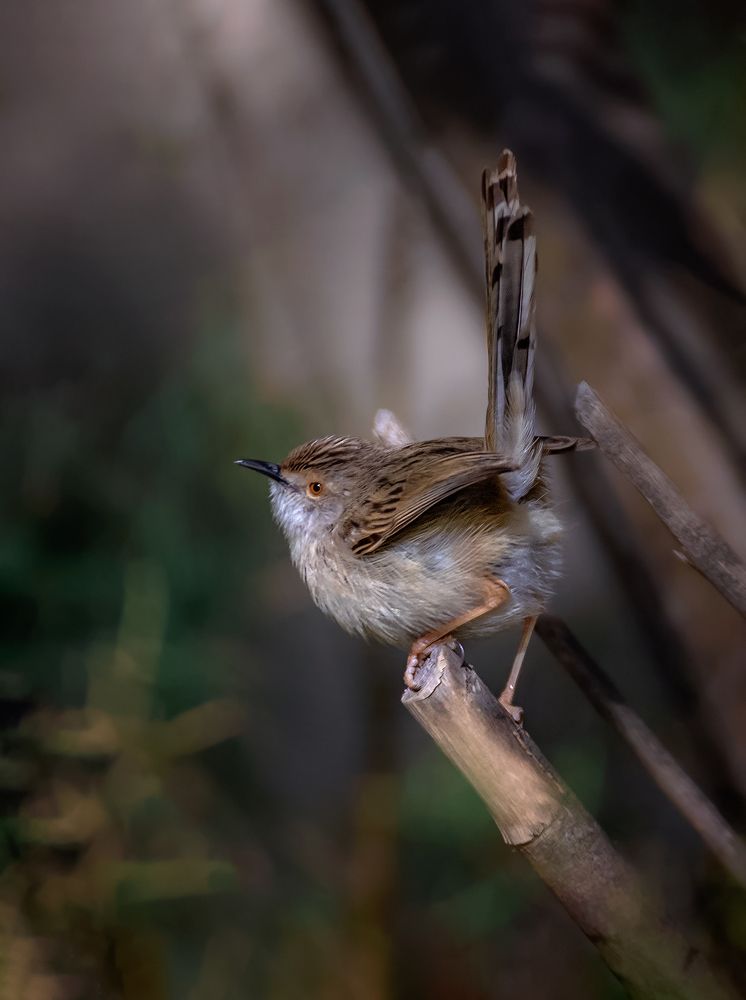 Photograph by Марина Ческис