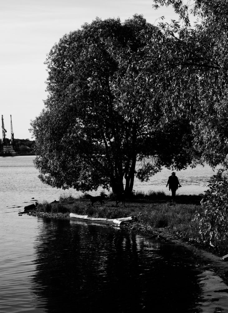 Photograph by Анастасия Костылева