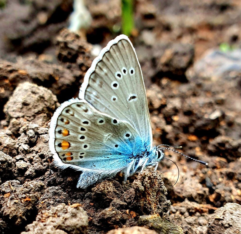 Photograph by Яна Галимуллина
