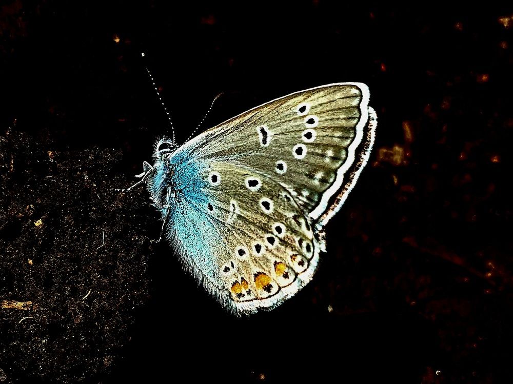 Photograph by Яна Галимуллина