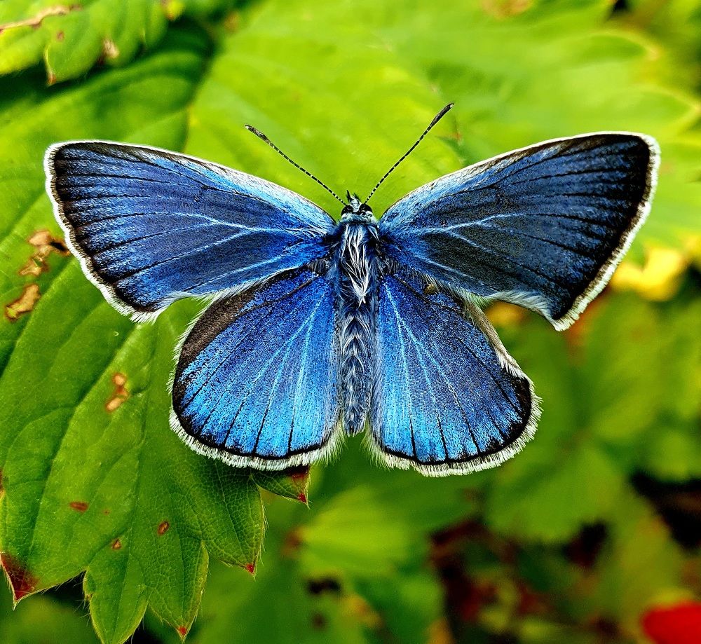 Photograph by Яна Галимуллина