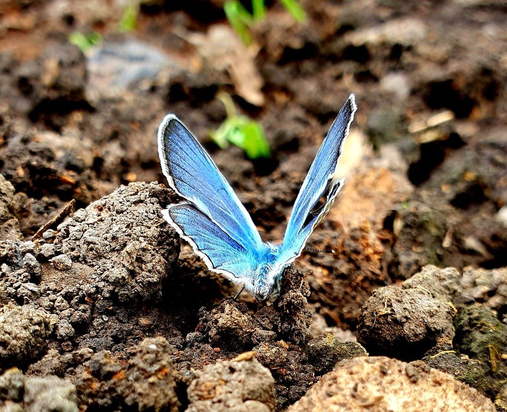 Photograph by Яна Галимуллина