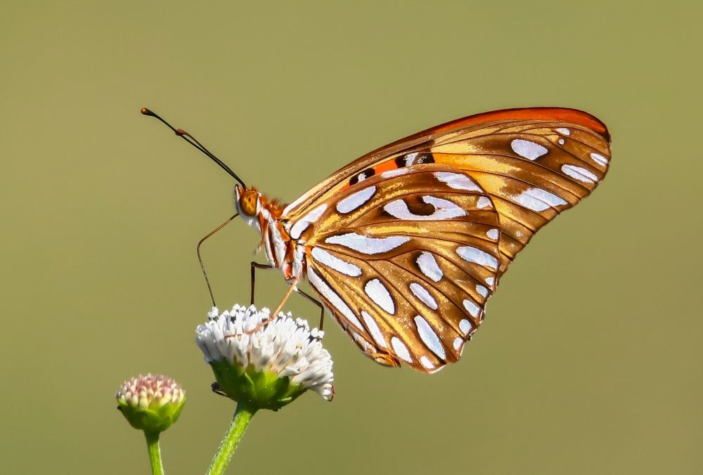 Photograph by Frank cobo blanco