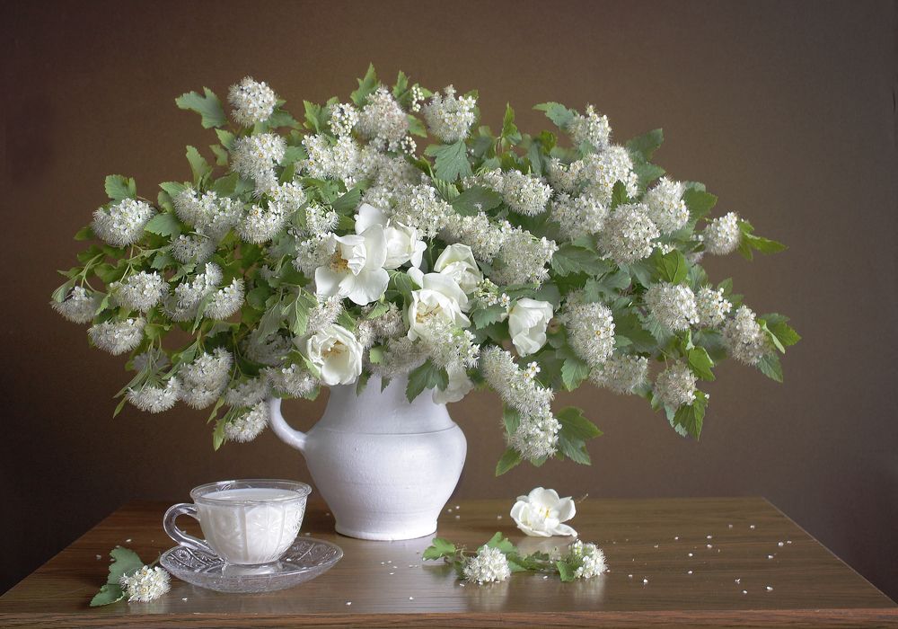 Букет пузыреплодника