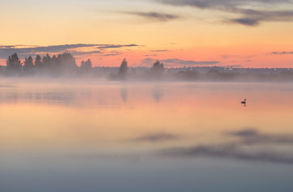 Photograph by  Arina Shapronova