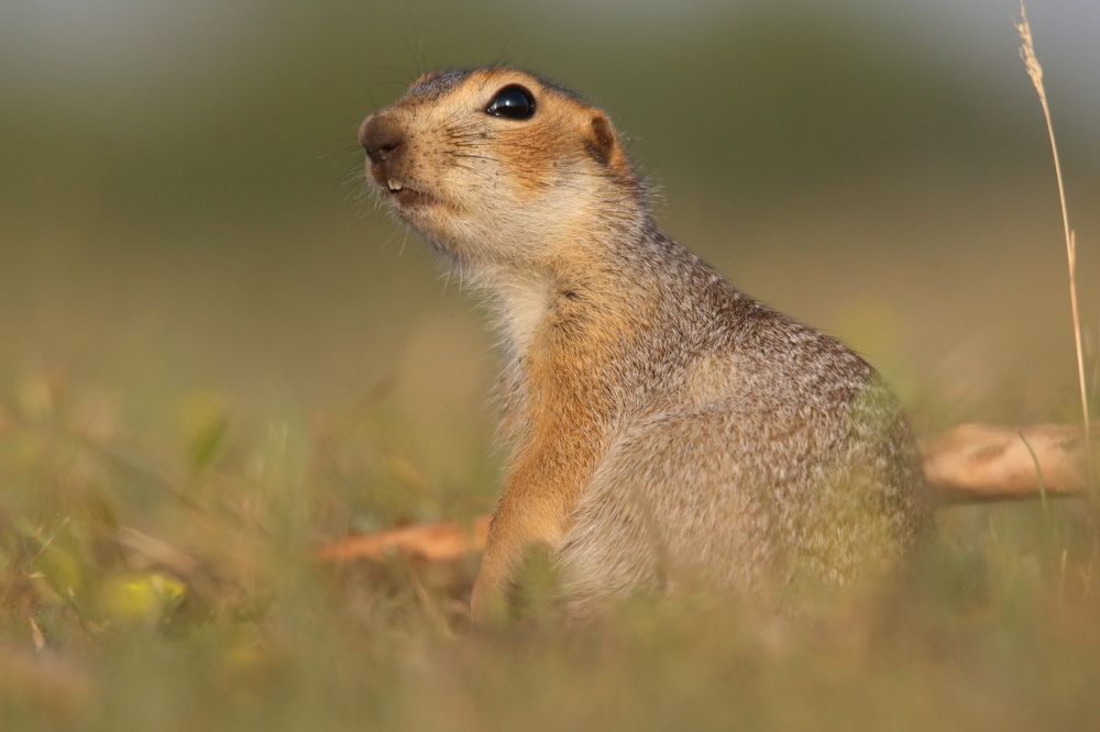 На рассвете