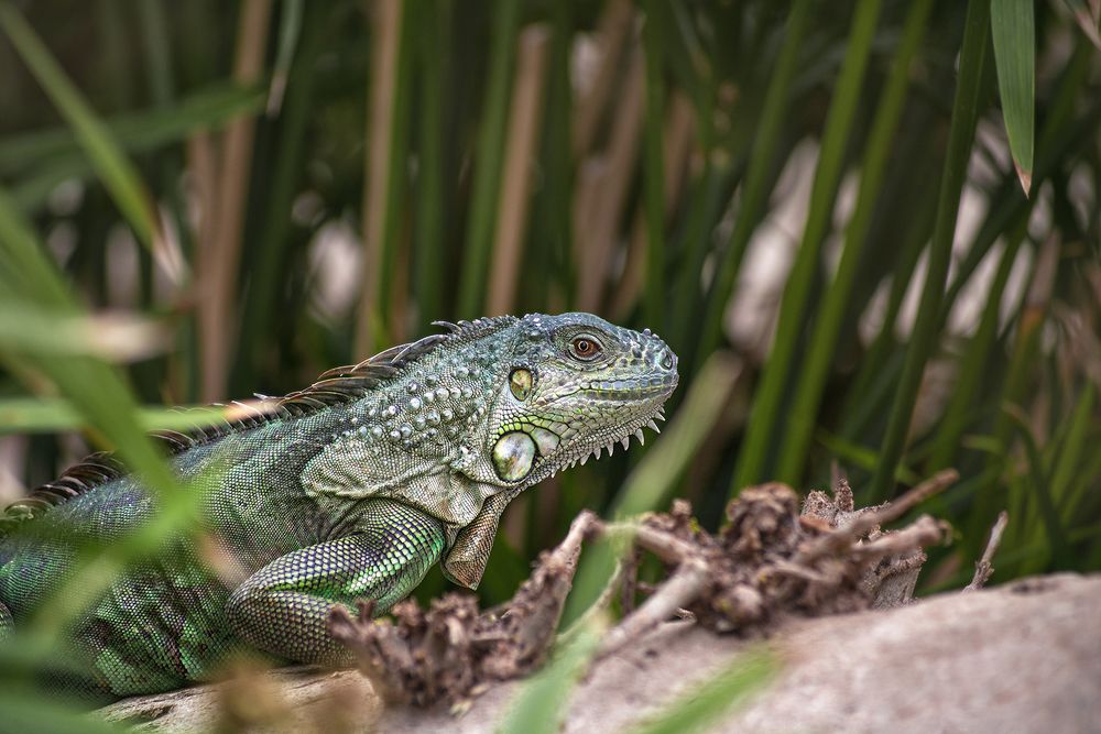 Photograph by Oxana Berezovskaya