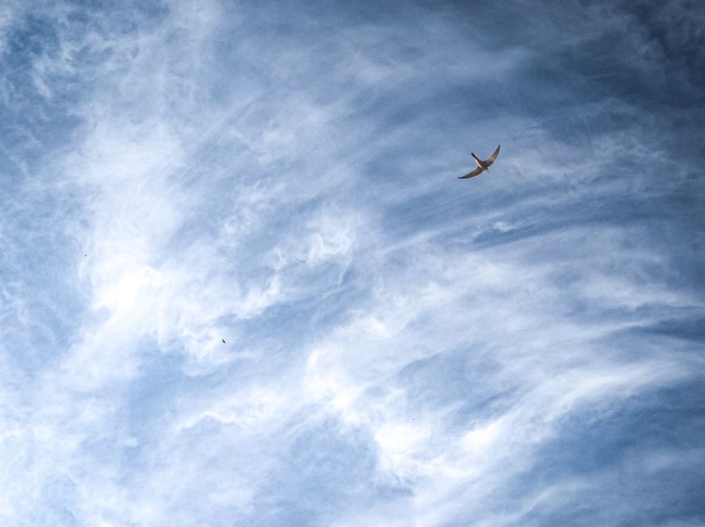 Photograph by Алексей Кибирев