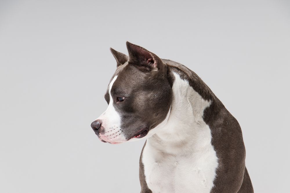 Photograph by Анна Вербилова