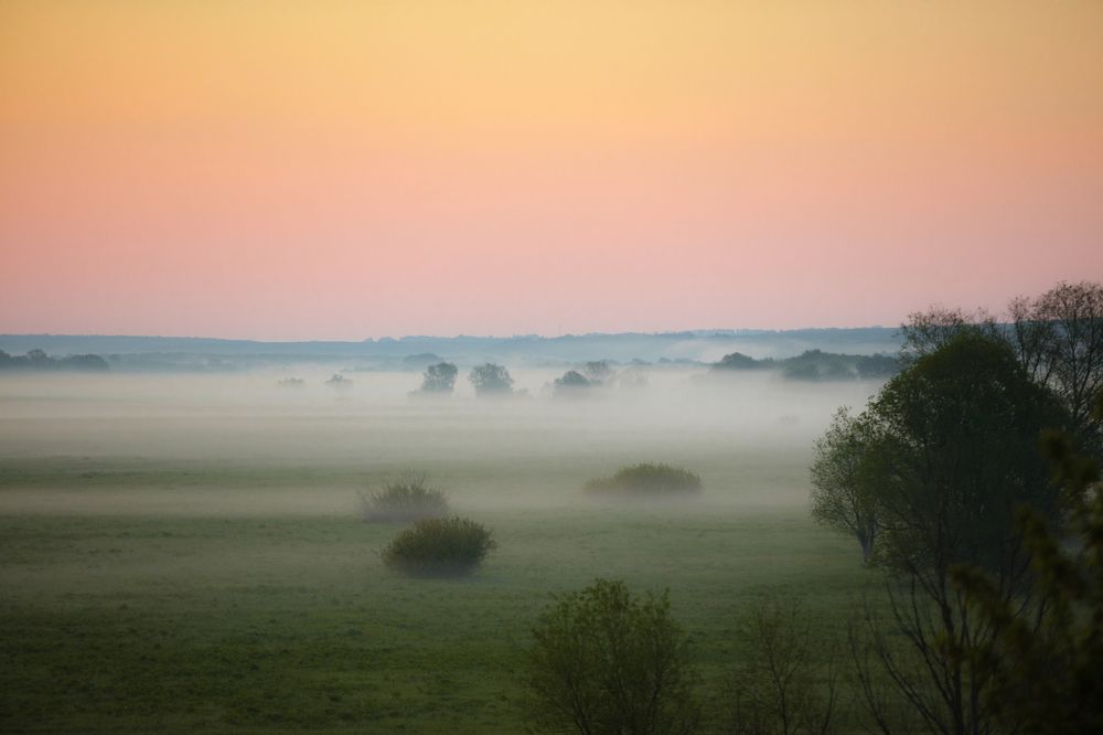 Фотография автора Георгий Шелест