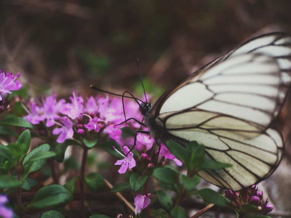 Photograph by Ольга Юминова