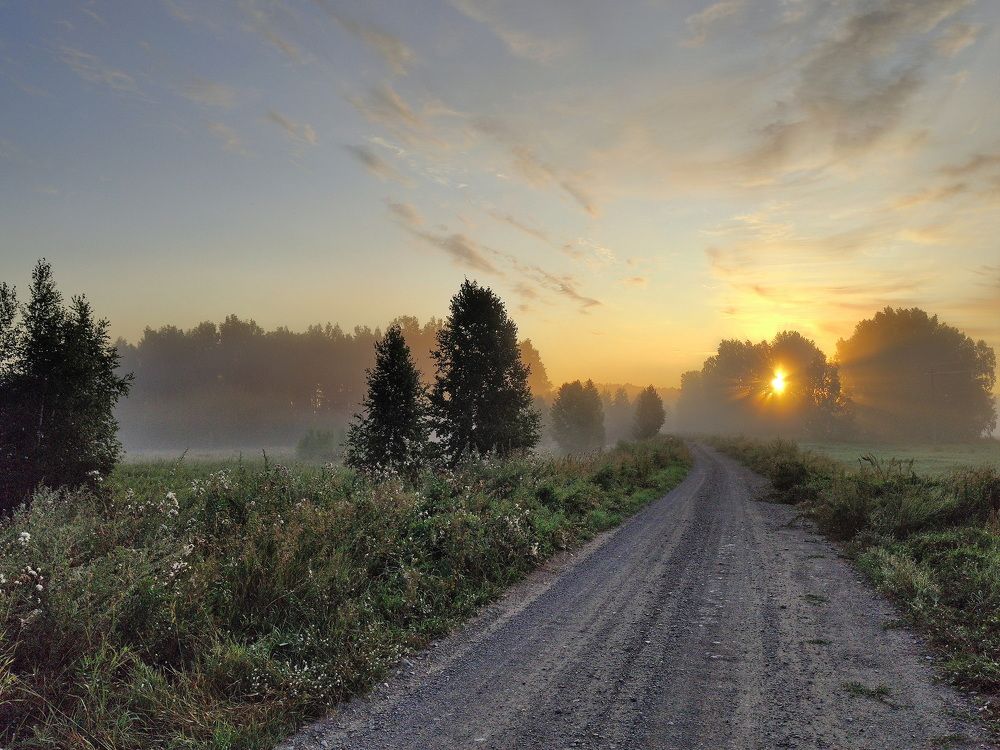 Photograph by Алексей Хазов