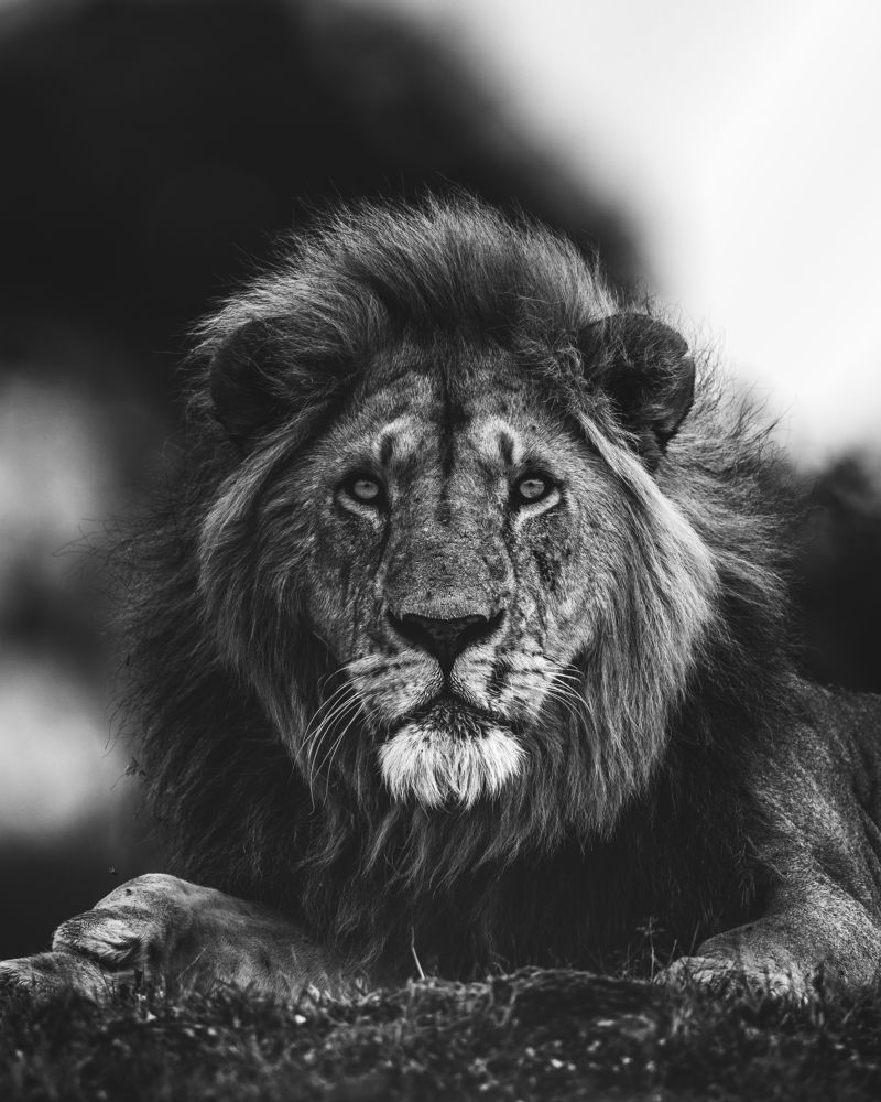 Photograph by Ahmed Sobhi