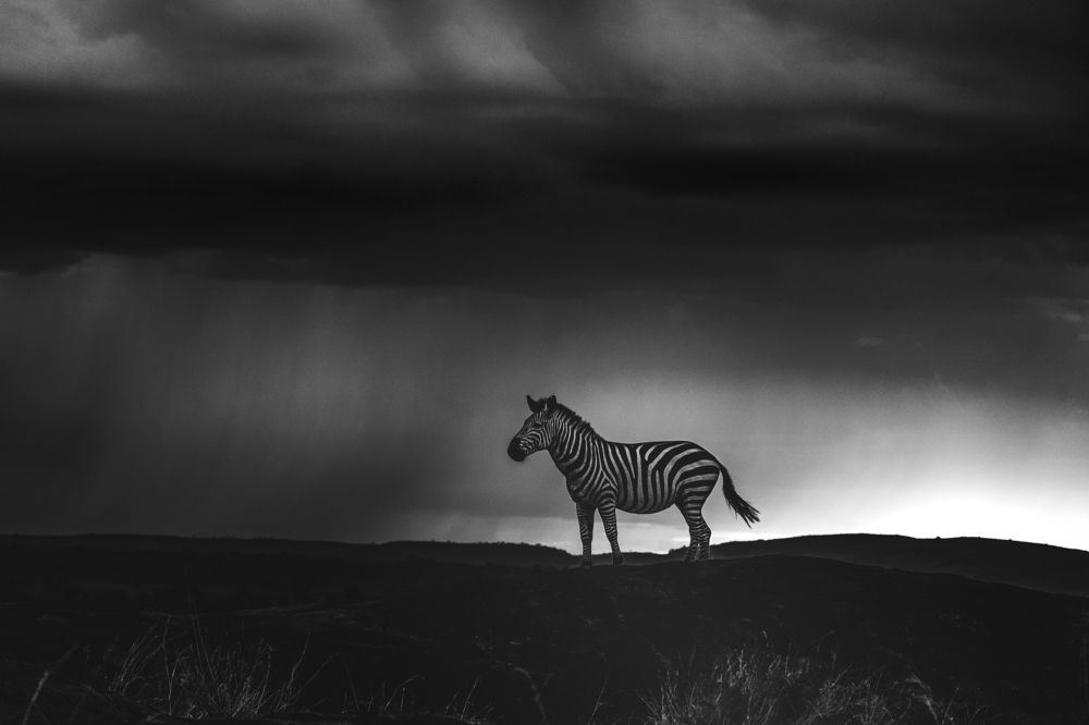 Photograph by Ahmed Sobhi