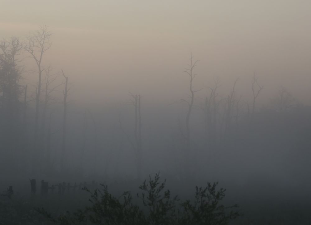 Где то в низине..