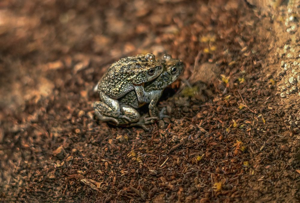 Photograph by Oxana Berezovskaya