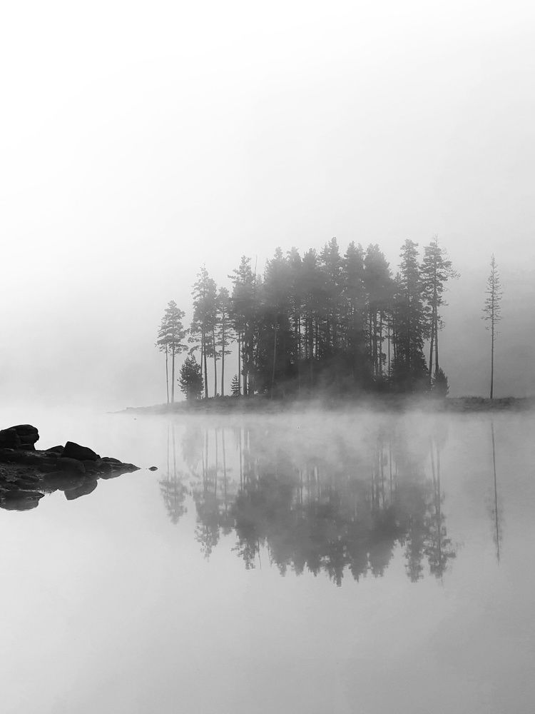Фотография автора Герчев Николай
