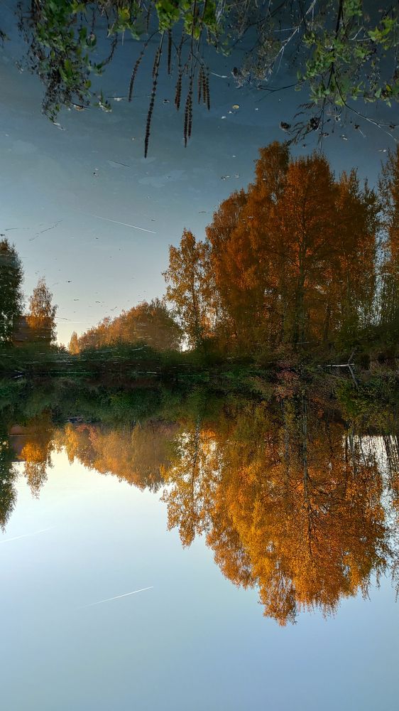 Photograph by Елена Алексеева