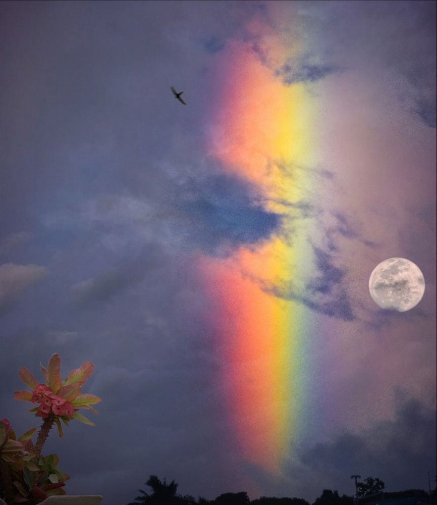 Photograph by Shreya Roy