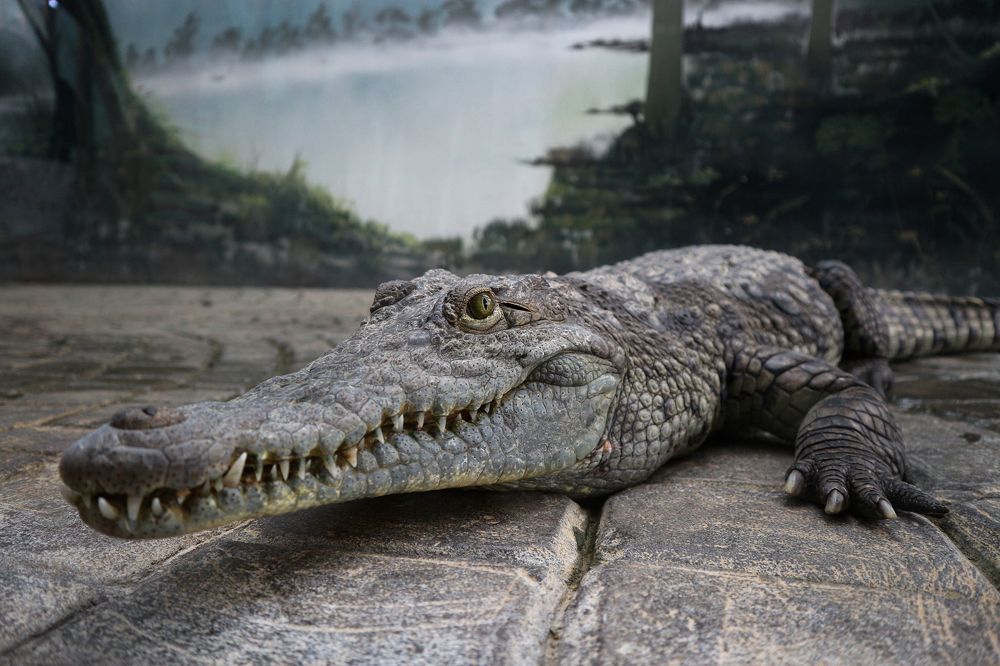 Photograph by Aleksey Maevskiy