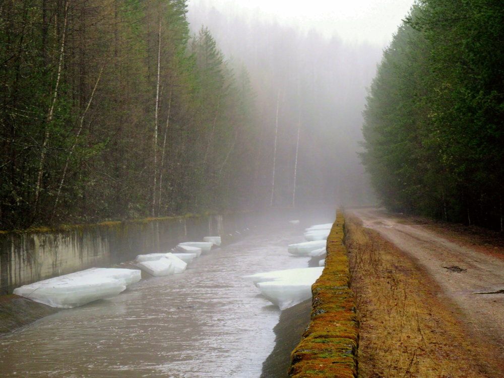 Photograph by Ирина Осипова