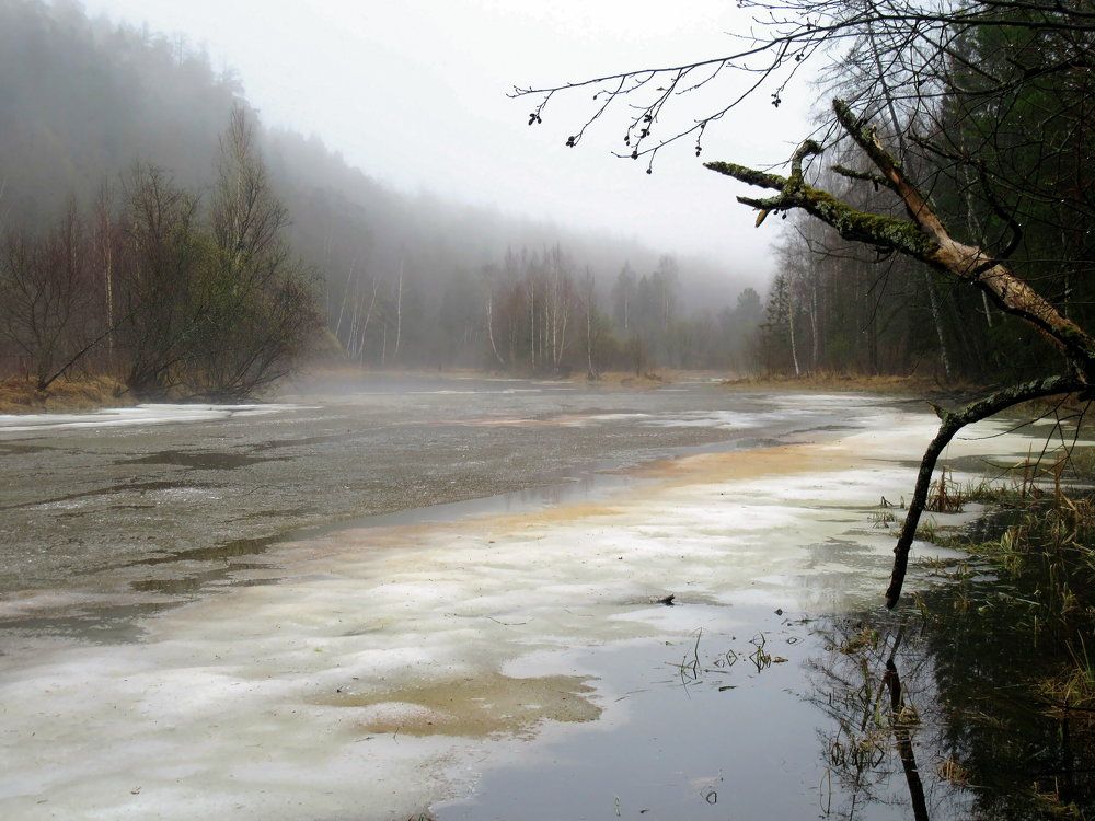 Photograph by Ирина Осипова