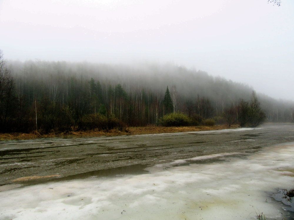 Photograph by Ирина Осипова