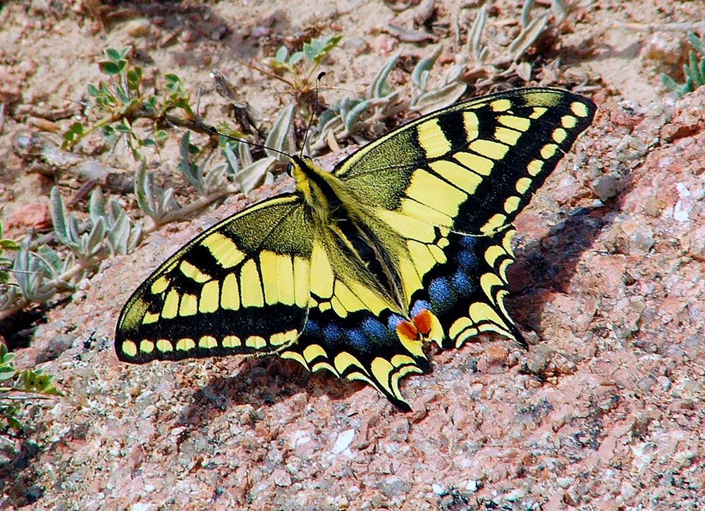 Photograph by Алексей Окунеев