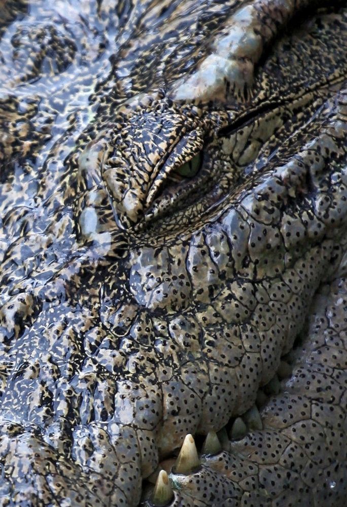 Photograph by ANDREY PERESHEIN