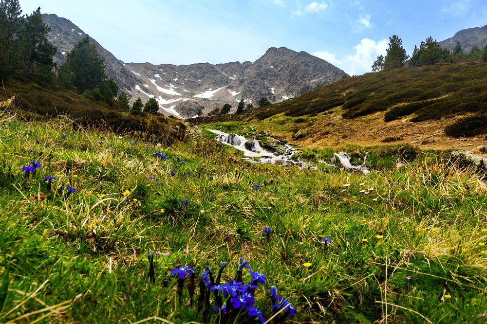 Photograph by Vadim Heinz