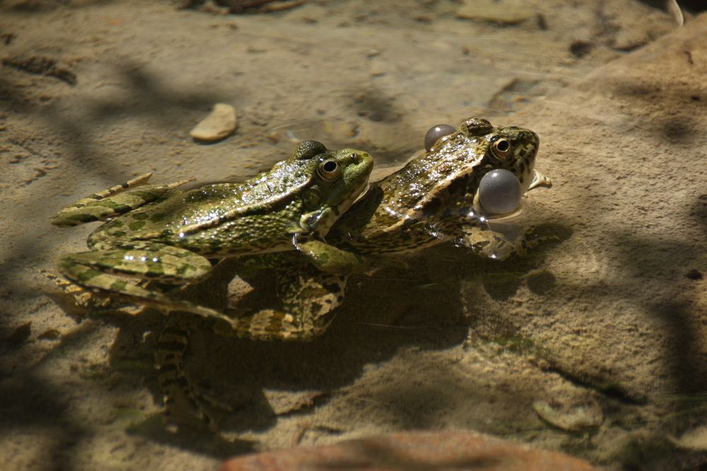 Photograph by Елена Ласун