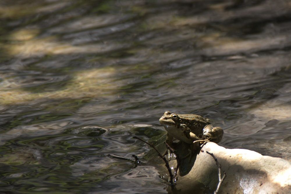 Photograph by Елена Ласун