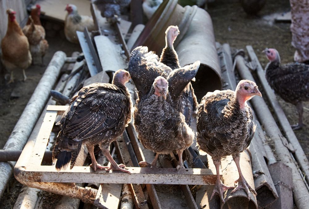 Photograph by Евгения Гловацкая