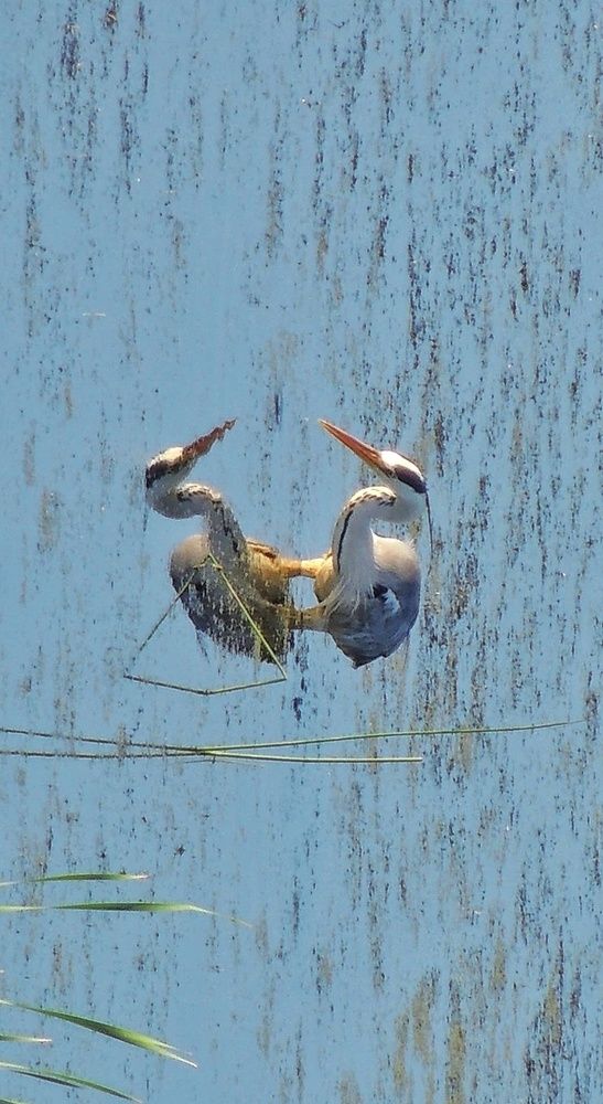 Фотография автора НАТАЛЬЯ СЕВЕР