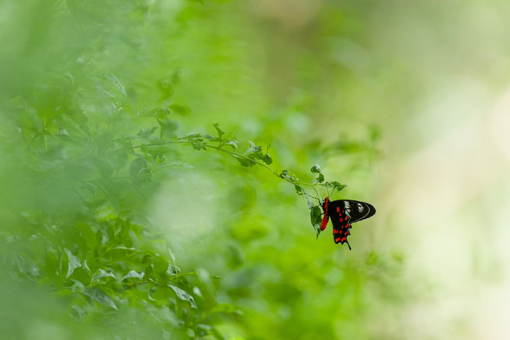 Photograph by Kshitij Patle