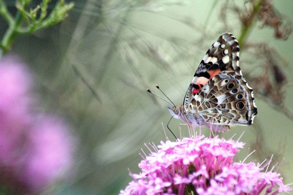 Photograph by Nadzeya