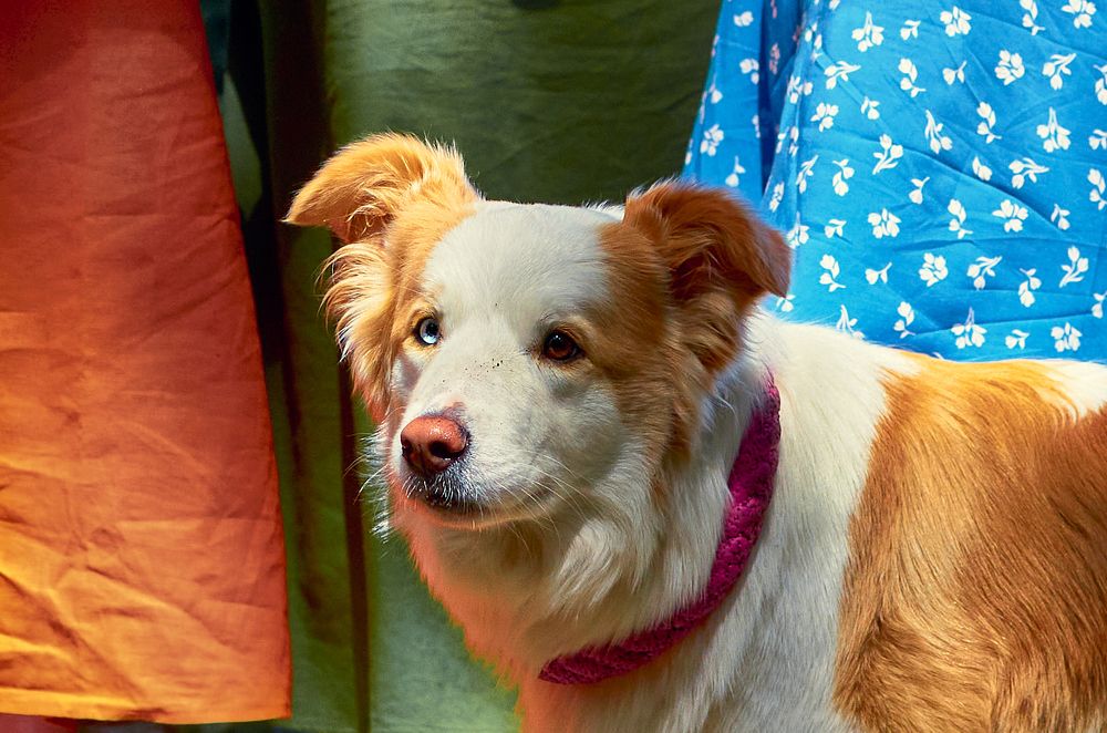 Photograph by Сергей Богданов